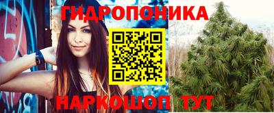 a pvp Татарск